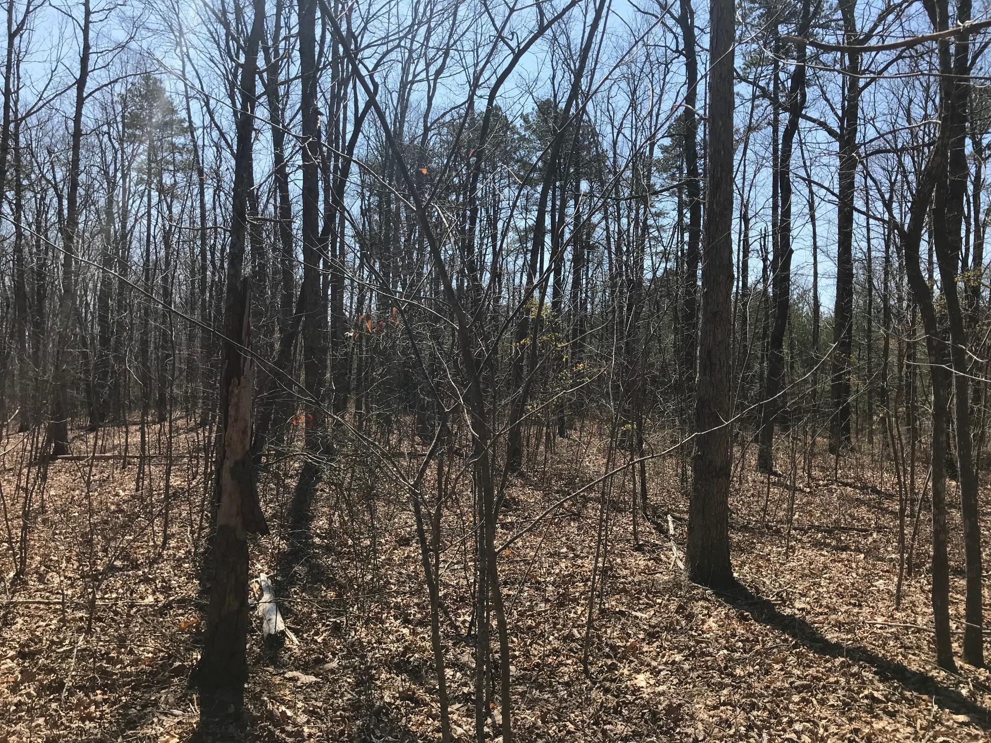 0 Greenfields Way North, Unit 13A Dunlap, TN 37327 - Photo 21 of 26 colin11