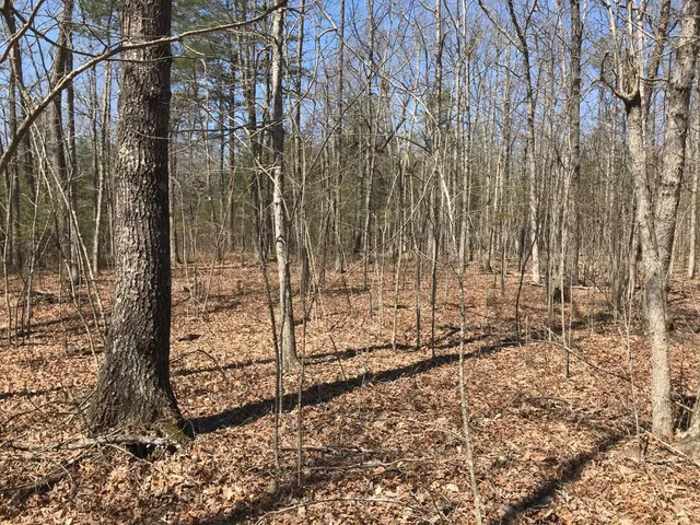 $54,900 | 0 Greenfields Way North, Unit 13A, Dunlap, TN 37327