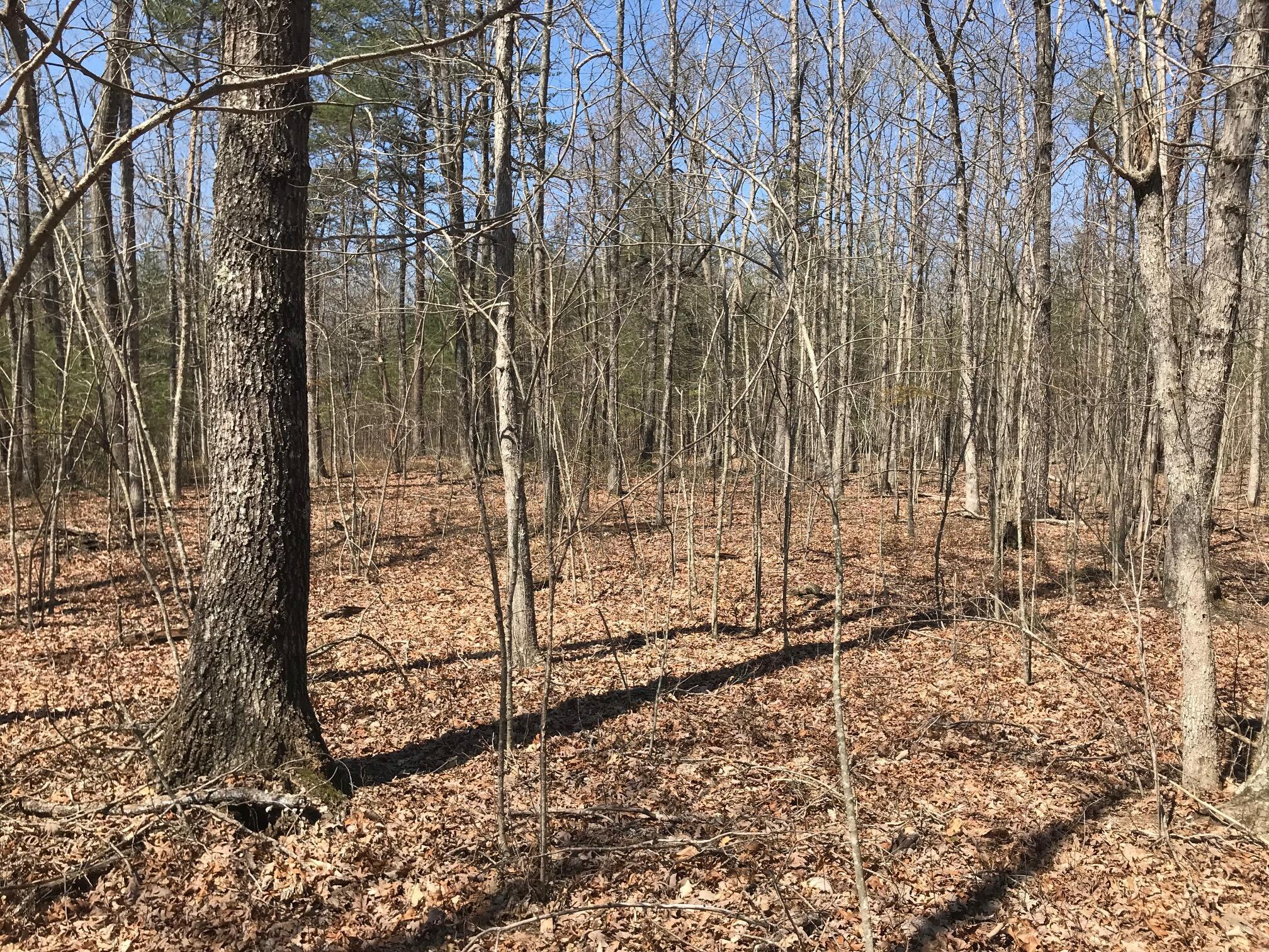 0 Greenfields Way North, Unit 13A Dunlap, TN 37327 - Photo 22 of 26 colin12