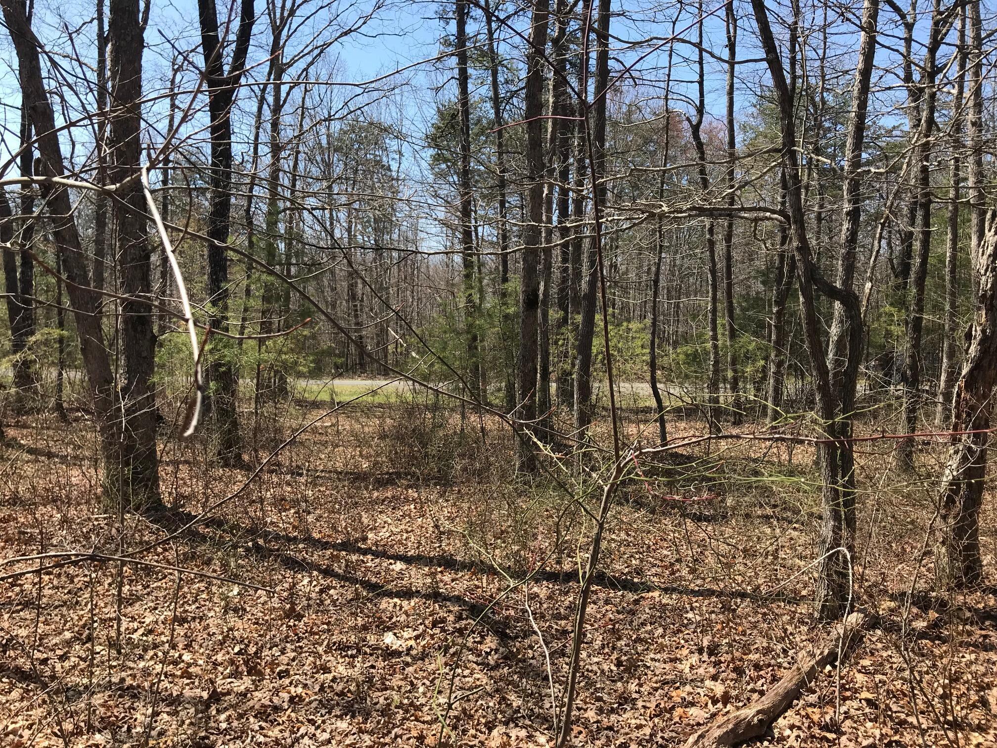 0 Greenfields Way North, Unit 13A Dunlap, TN 37327 - Photo 23 of 26 colin13