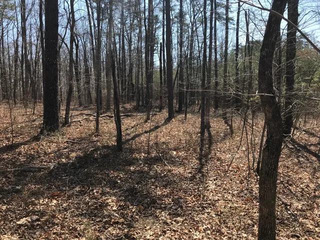 $54,900 | 0 Greenfields Way North, Unit 13A, Dunlap, TN 37327