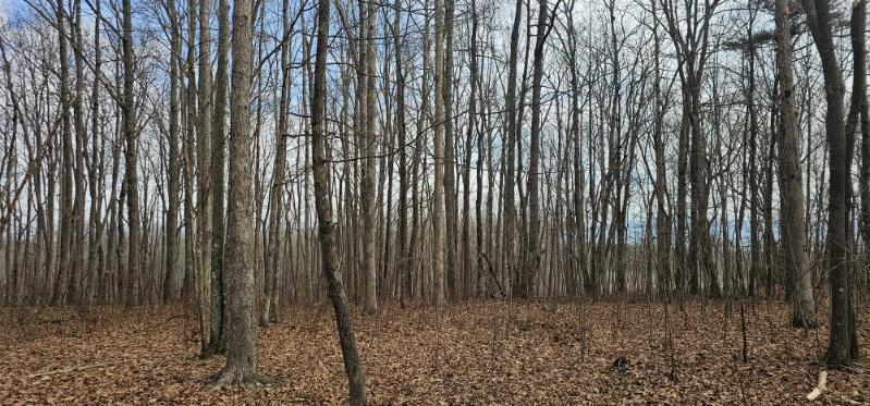 0 Greenfields Way North, Unit 13A Dunlap, TN 37327 - Photo 27 of 32 image000002