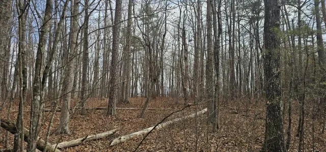 $54,900 | 0 Greenfields Way North, Unit 13A, Dunlap, TN 37327