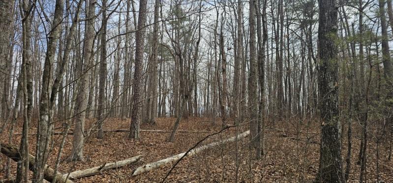 0 Greenfields Way North, Unit 13A Dunlap, TN 37327 - Photo 28 of 32 image000005