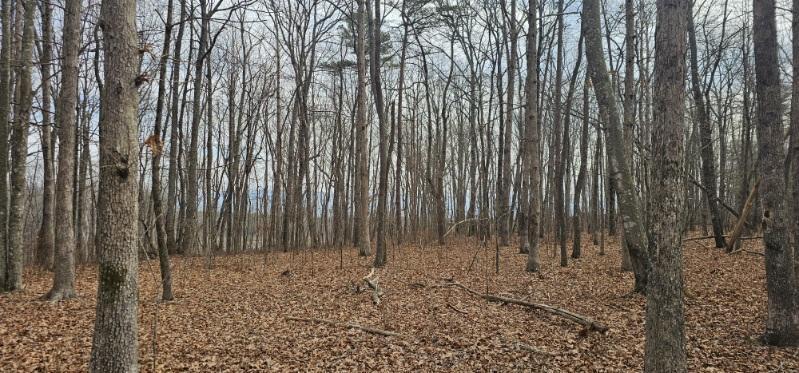 0 Greenfields Way North, Unit 13A Dunlap, TN 37327 - Photo 29 of 32 image000004