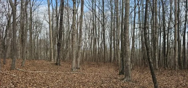 $54,900 | 0 Greenfields Way North, Unit 13A, Dunlap, TN 37327