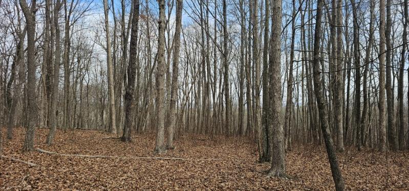 0 Greenfields Way North, Unit 13A Dunlap, TN 37327 - Photo 30 of 32 image000003