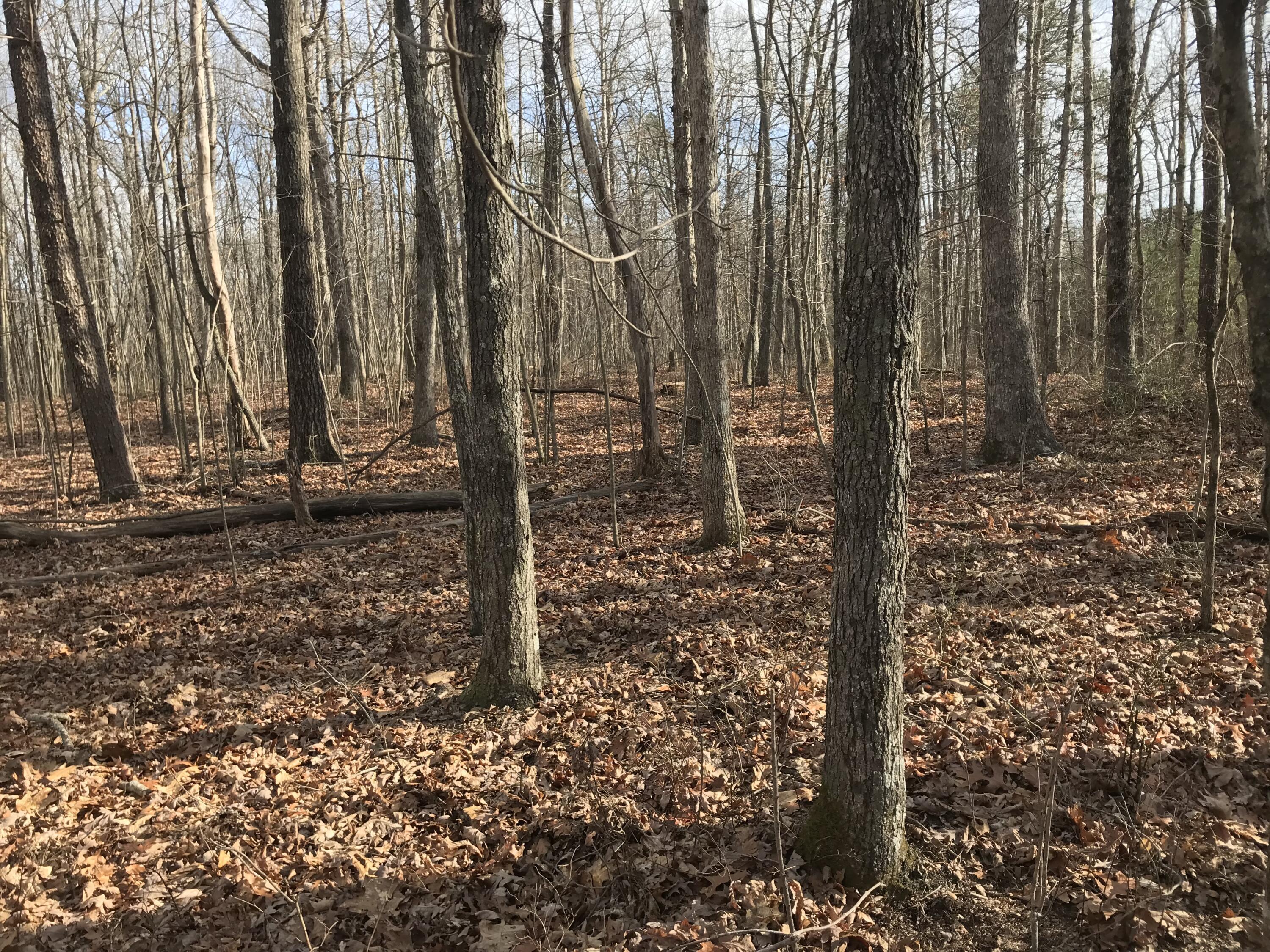 0 Greenfields Way North, Unit 13A Dunlap, TN 37327 - Photo 3 of 26 B18F5D60-A8FB-43B9-8A5F-3318F5479E83