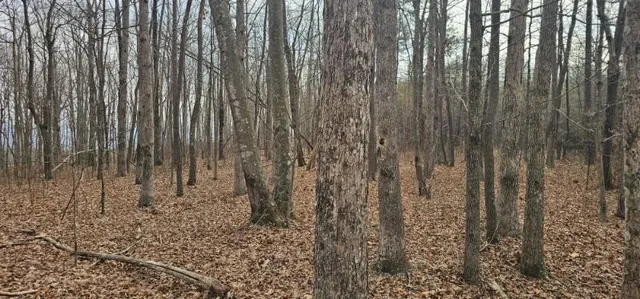 $54,900 | 0 Greenfields Way North, Unit 13A, Dunlap, TN 37327