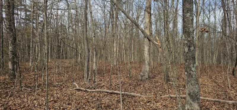 0 Greenfields Way North, Unit 13A Dunlap, TN 37327 - Photo 32 of 32 image000001