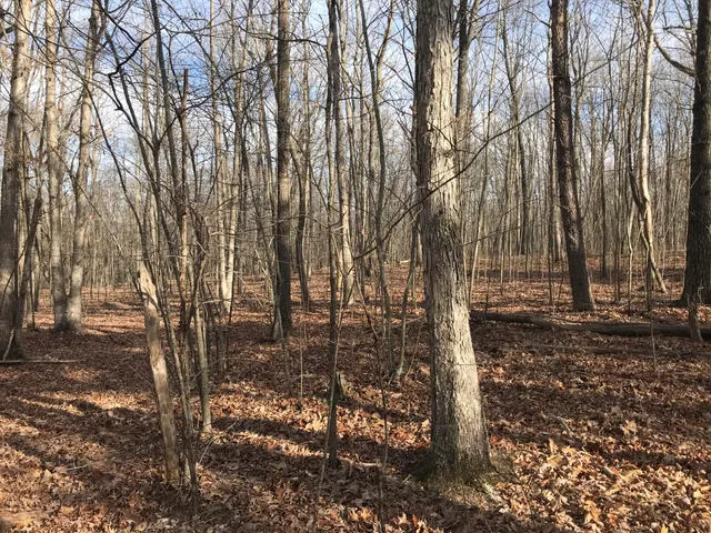 $54,900 | 0 Greenfields Way North, Unit 13A, Dunlap, TN 37327