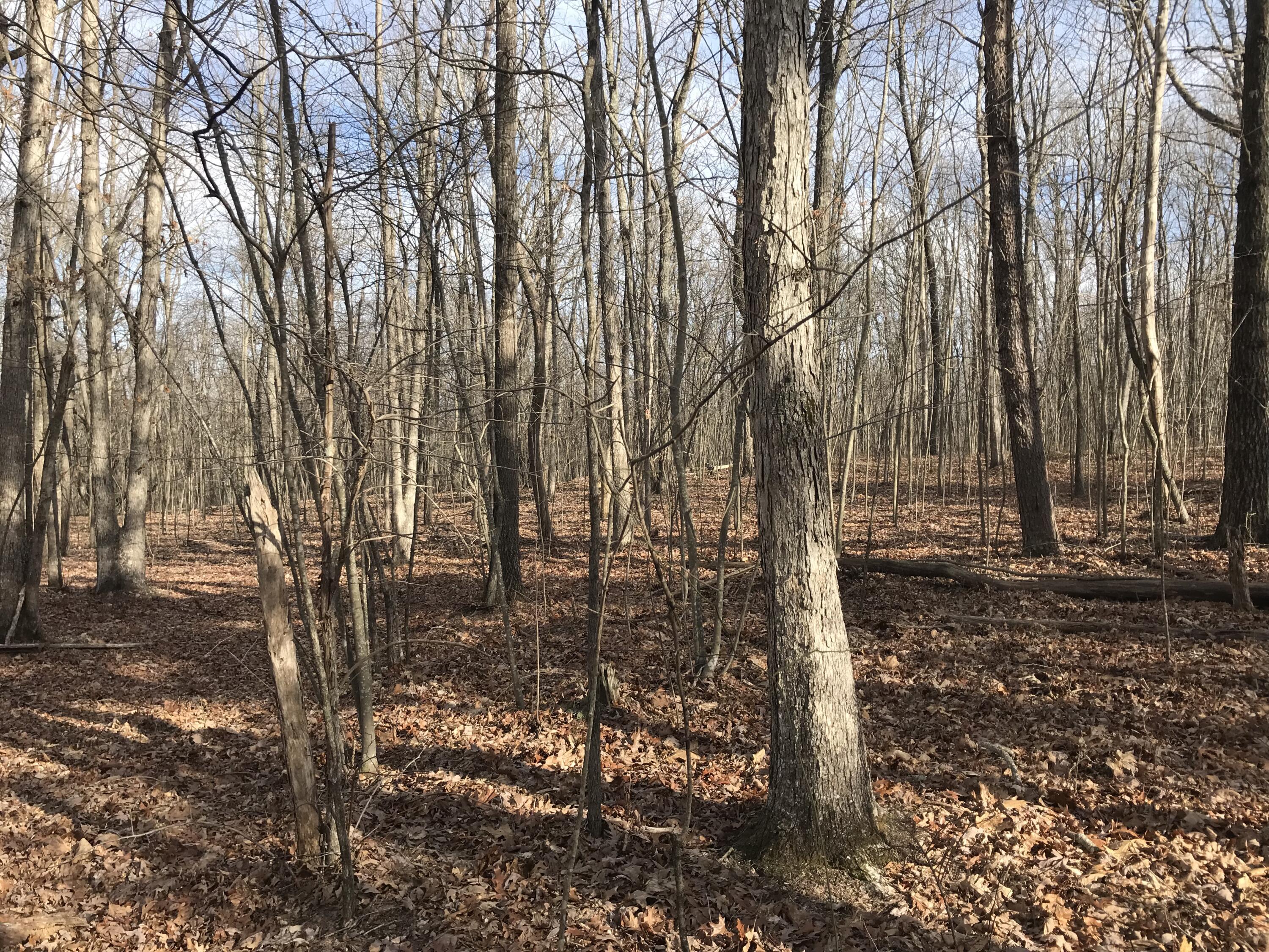 0 Greenfields Way North, Unit 13A Dunlap, TN 37327 - Photo 4 of 26 7457A086-CE0F-4D0C-9727-64A50D5A0BBB