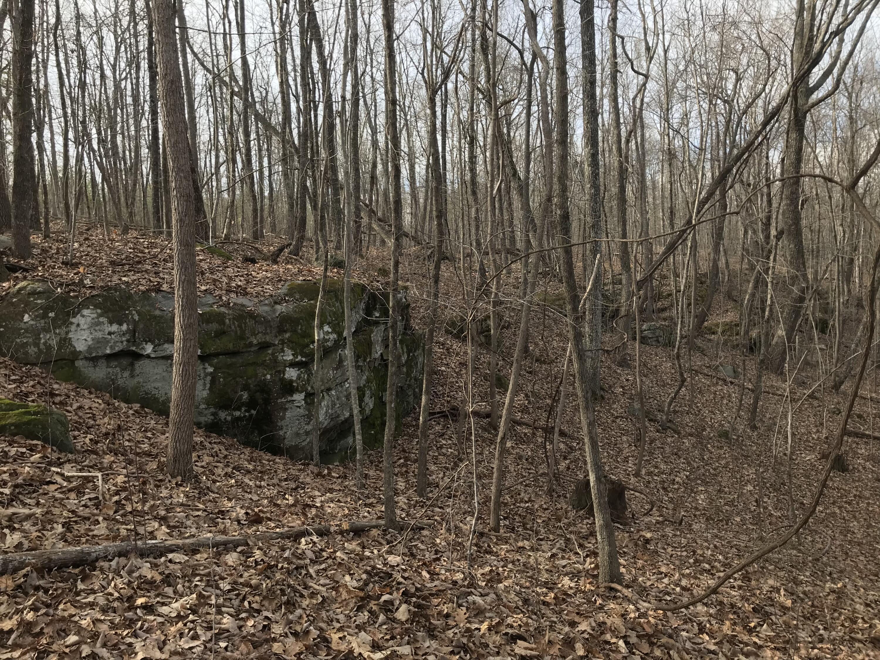 0 Greenfields Way North, Unit 13A Dunlap, TN 37327 - Photo 5 of 26 06BD00D0-3D24-46B8-8E7D-68CE18878422