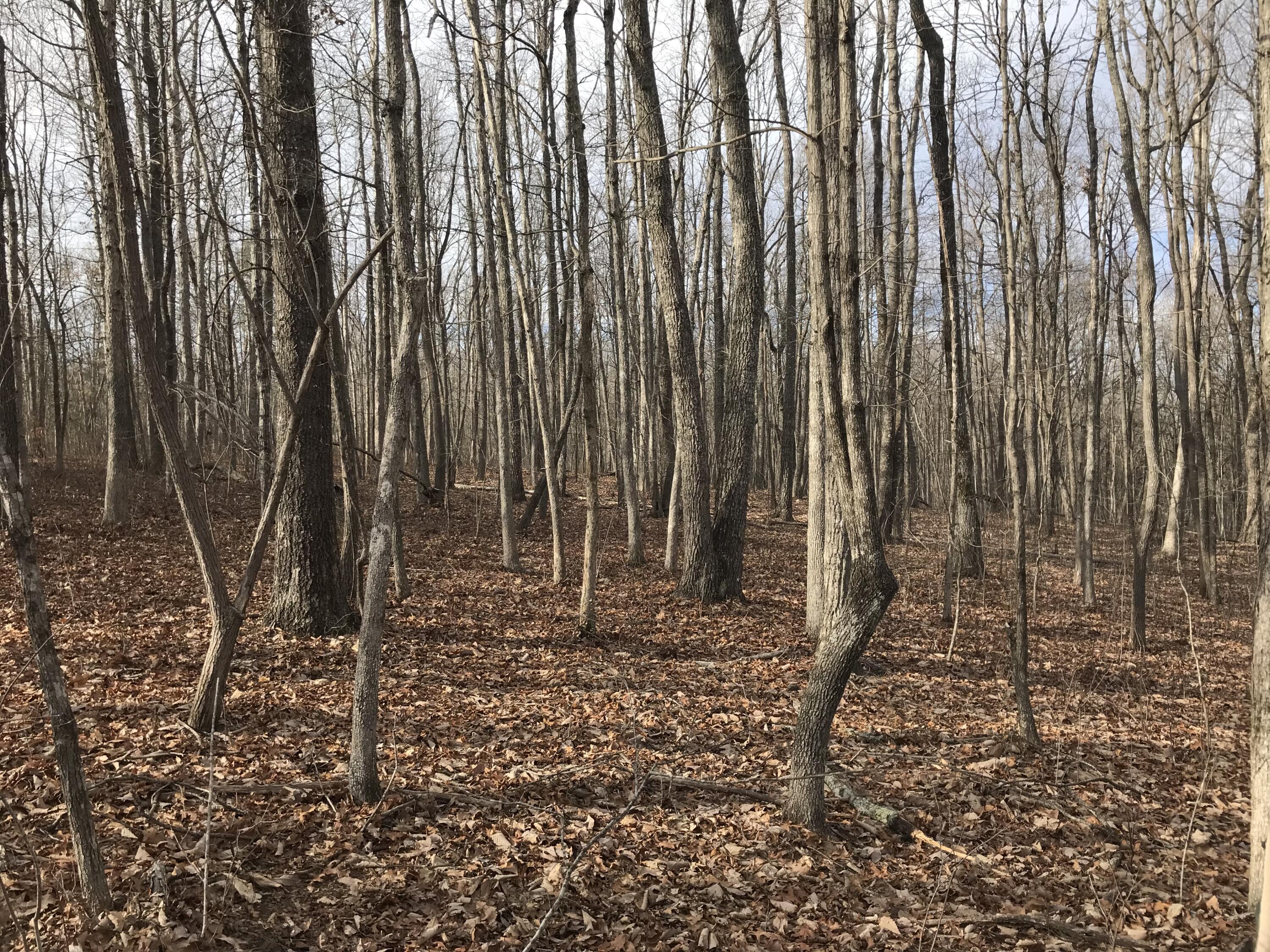 0 Greenfields Way North, Unit 13A Dunlap, TN 37327 - Photo 7 of 26 76C83B31-422A-49AF-8FA7-CCB6C6AFA5B0