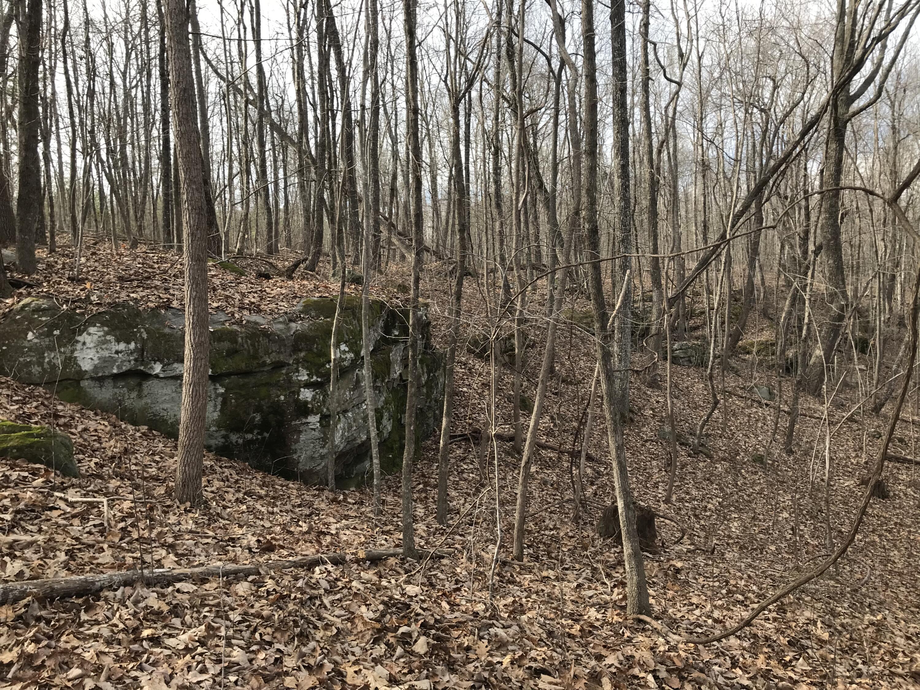 0 Greenfields Way North, Unit 13A Dunlap, TN 37327 - Photo 8 of 26 4023CB63-9163-4B21-BE4C-EEF9AC493B59