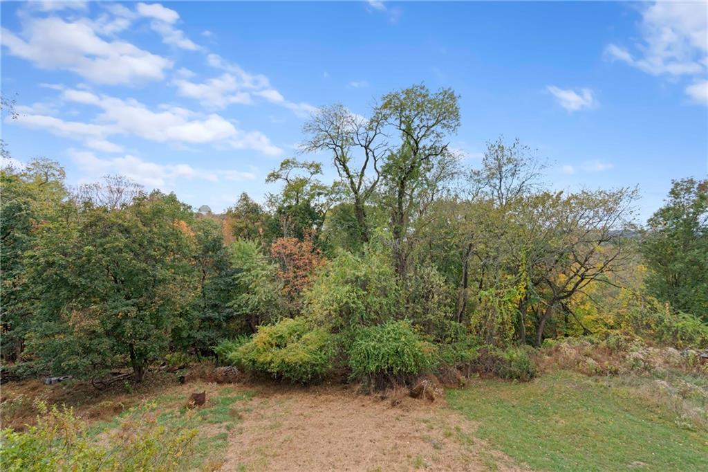 67 Semicir Street Pittsburgh, PA 15214 - Photo 31 of 36 a view of a yard with a tree