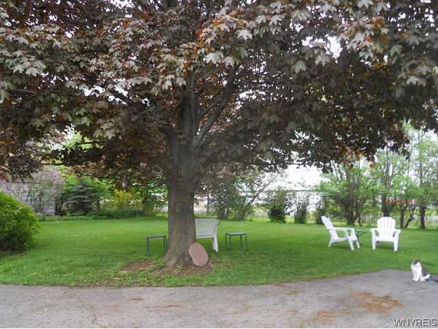 7158 West Main Road Le Roy, NY 14482 - Photo 5 of 25 Other