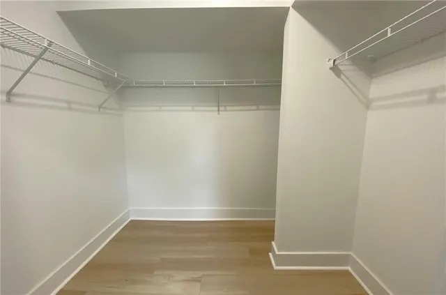 a bathroom with a shower and a toilet