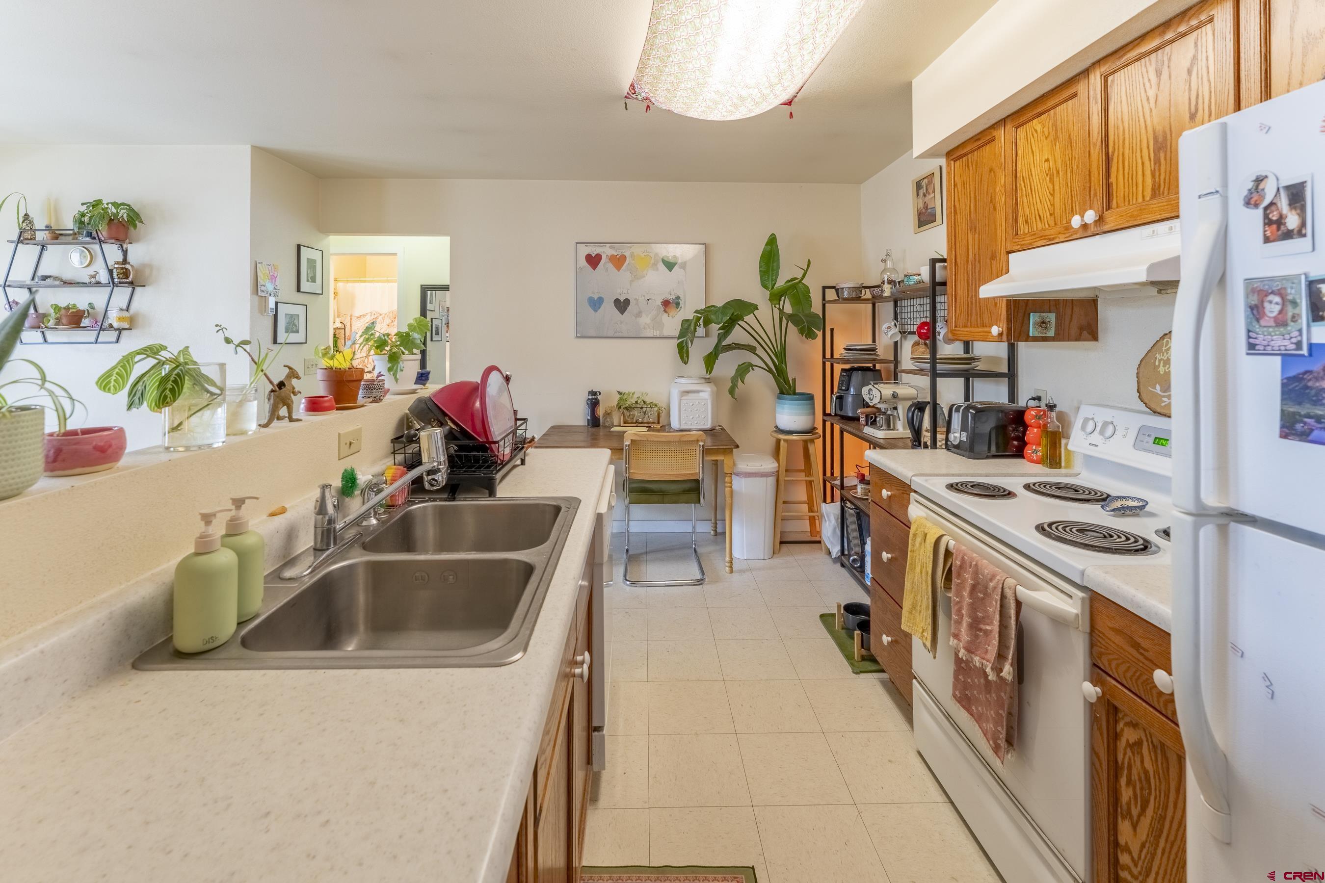 309 Belleview Avenue, Unit 2A Crested Butte, CO 81224 - Photo 12 of 22 a kitchen filled a sink a counter and appliances