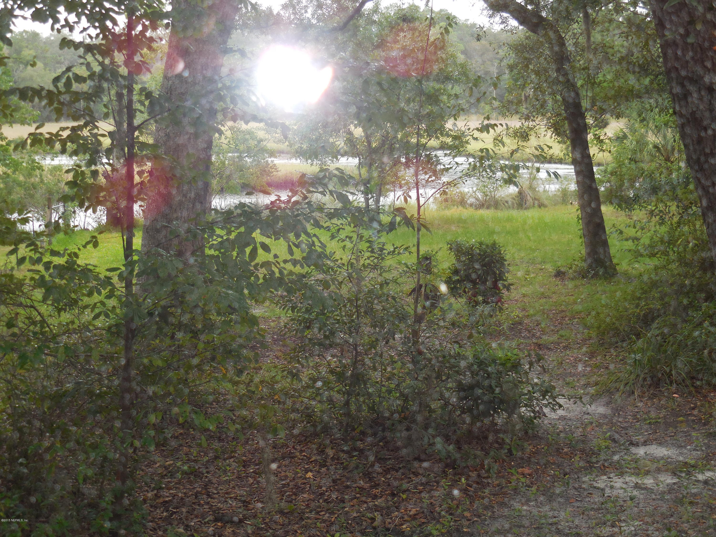 10402 Tulsa Road Jacksonville, FL 32218 - Photo 31 of 34 a view of a yard with a tree