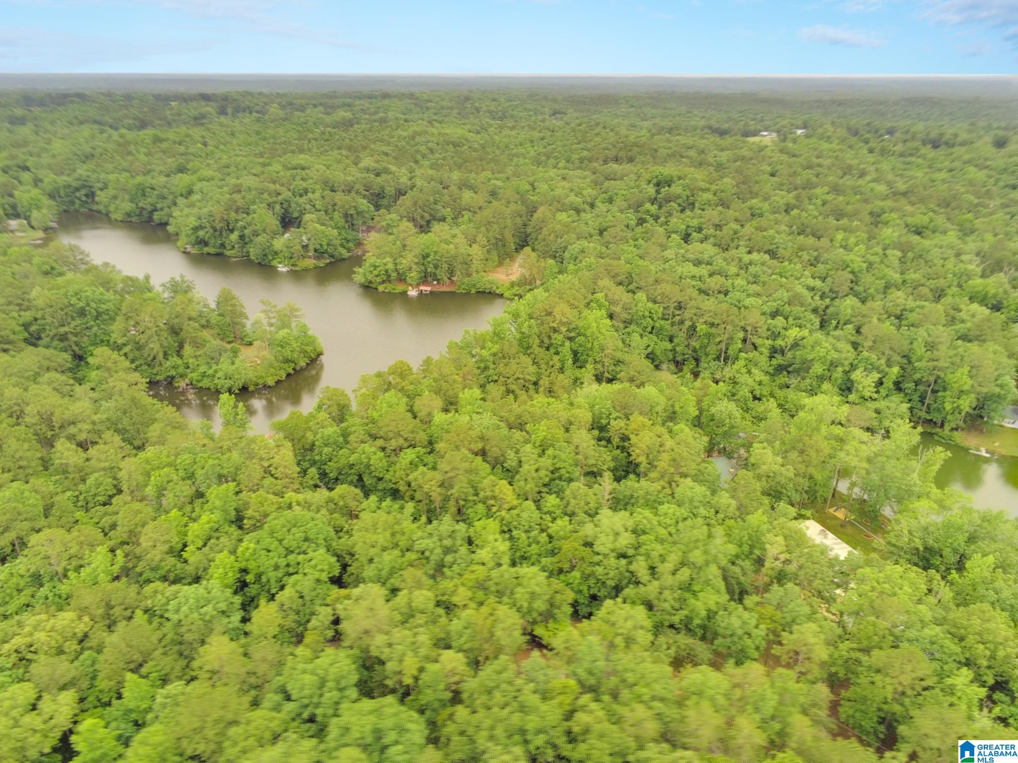 0 County Road 727, Unit 13 Montevallo, AL 35115 - Photo 11 of 15