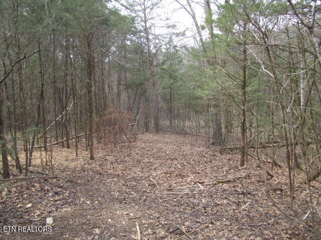 Washington Pike Luttrell, TN 37779 - Photo 3 of 6 IMG_4365