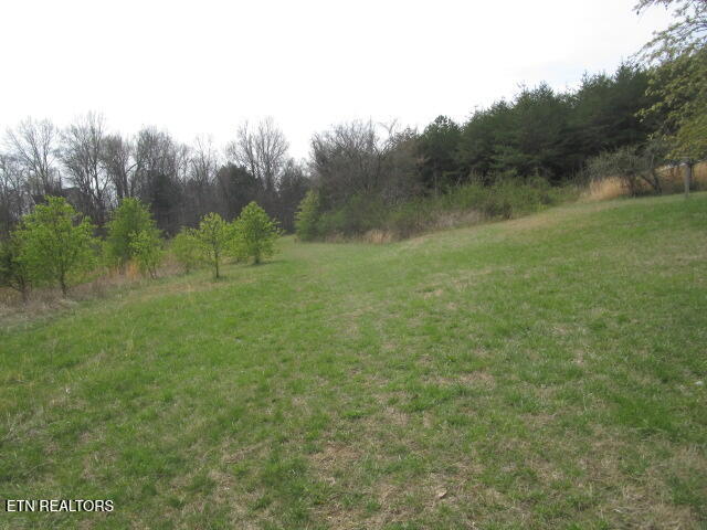 Washington Pike Luttrell, TN 37779 - Photo 4 of 6 IMG_4362