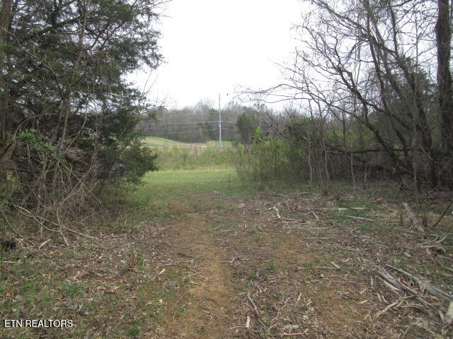 Washington Pike Luttrell, TN 37779 - Photo 5 of 6 IMG_4366