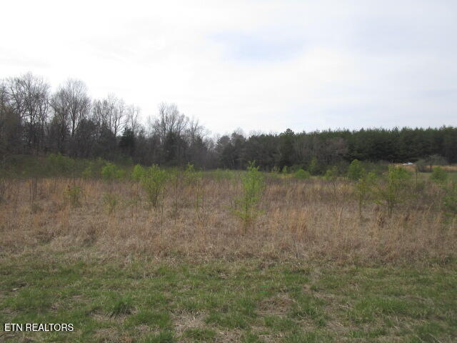 Washington Pike Luttrell, TN 37779 - Photo 6 of 6 IMG_4369