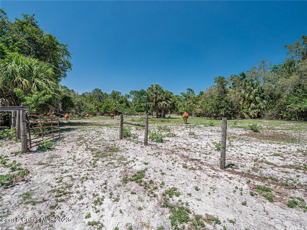 10995 Roseland Road Sebastian, FL 32958 - Photo 13 of 35 a backyard of a house with lots of green space