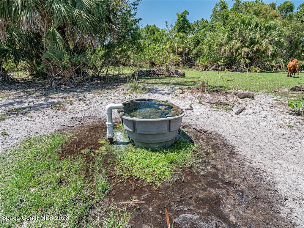 10995 Roseland Road Sebastian, FL 32958 - Photo 14 of 35 a view of a backyard with plants and a tree
