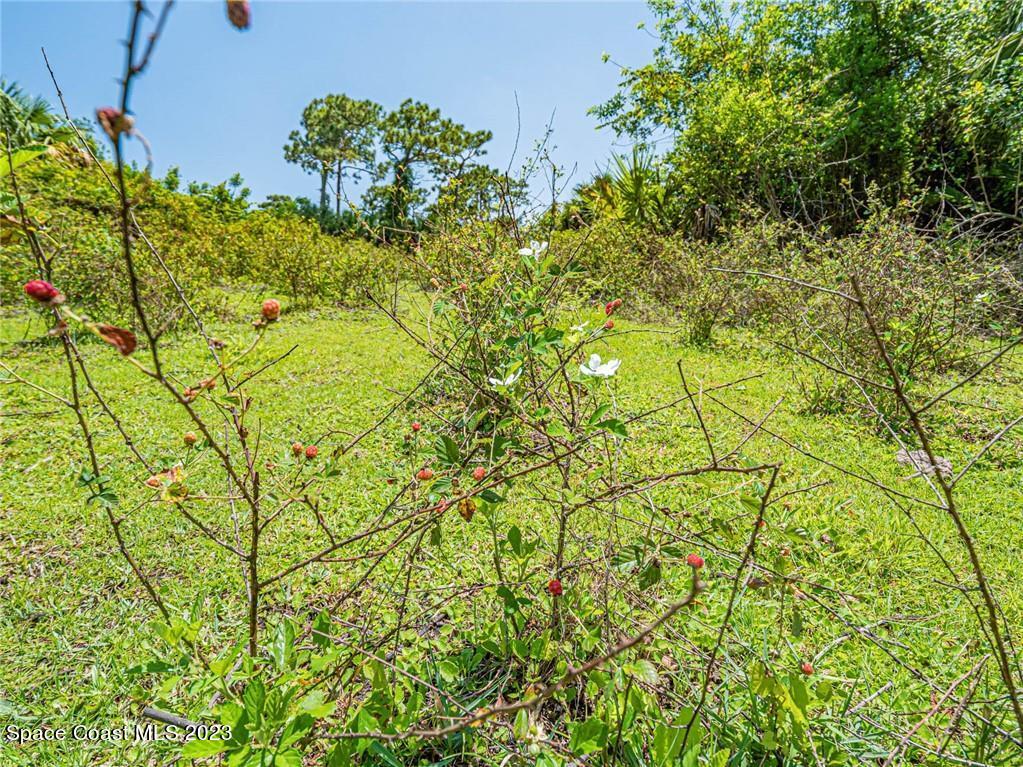10995 Roseland Road Sebastian, FL 32958 - Photo 21 of 35 a view of a garden