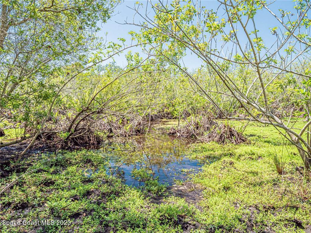 10995 Roseland Road Sebastian, FL 32958 - Photo 3 of 35 a yard with a tree