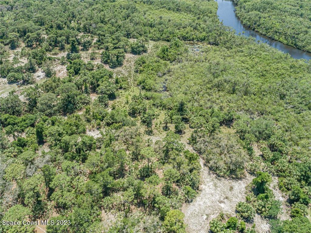 10995 Roseland Road Sebastian, FL 32958 - Photo 33 of 35 a view of a big yard with plants and large trees