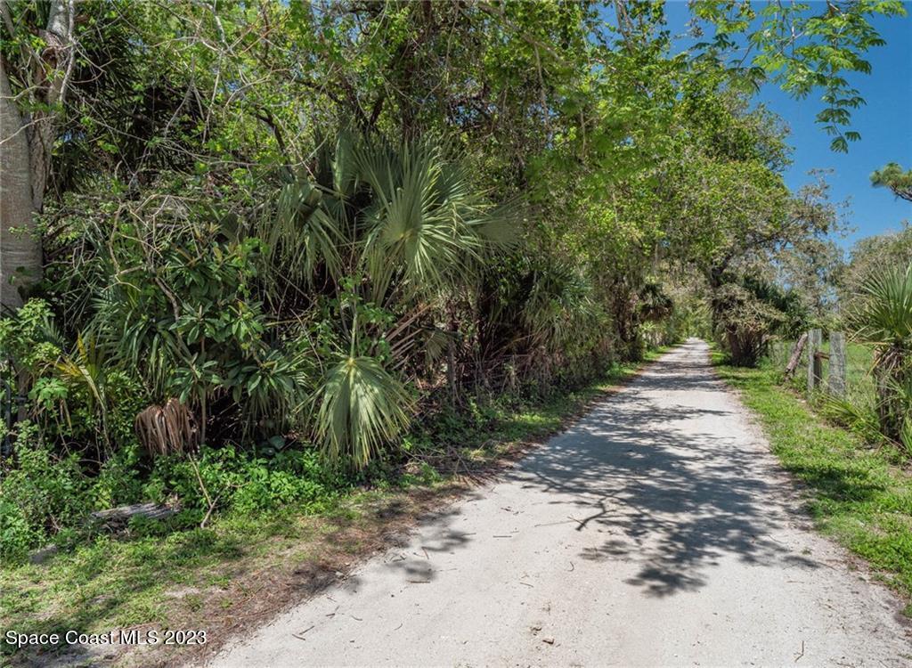 10995 Roseland Road Sebastian, FL 32958 - Photo 5 of 35 a pathway of a yard