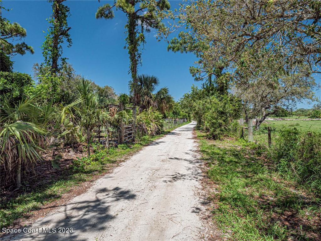 10995 Roseland Road Sebastian, FL 32958 - Photo 6 of 35 a view of a pathway with a tree