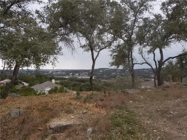 a view of a forest filled with trees