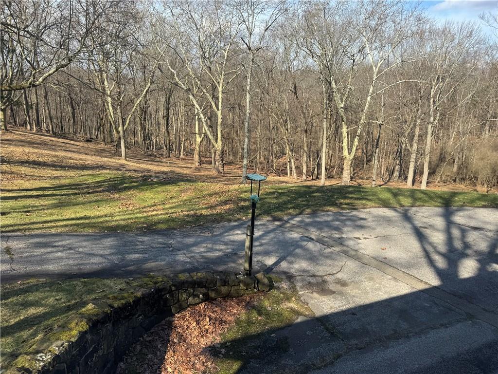 411 Water Works Road Sewickley, PA 15143 - Photo 35 of 36 a view of a yard with trees