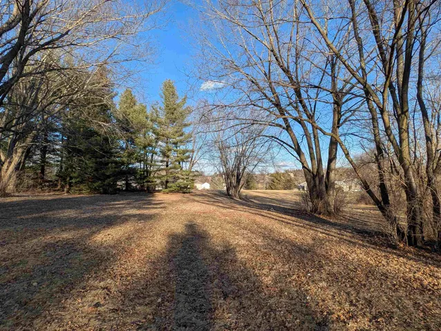 a view of large trees with yard