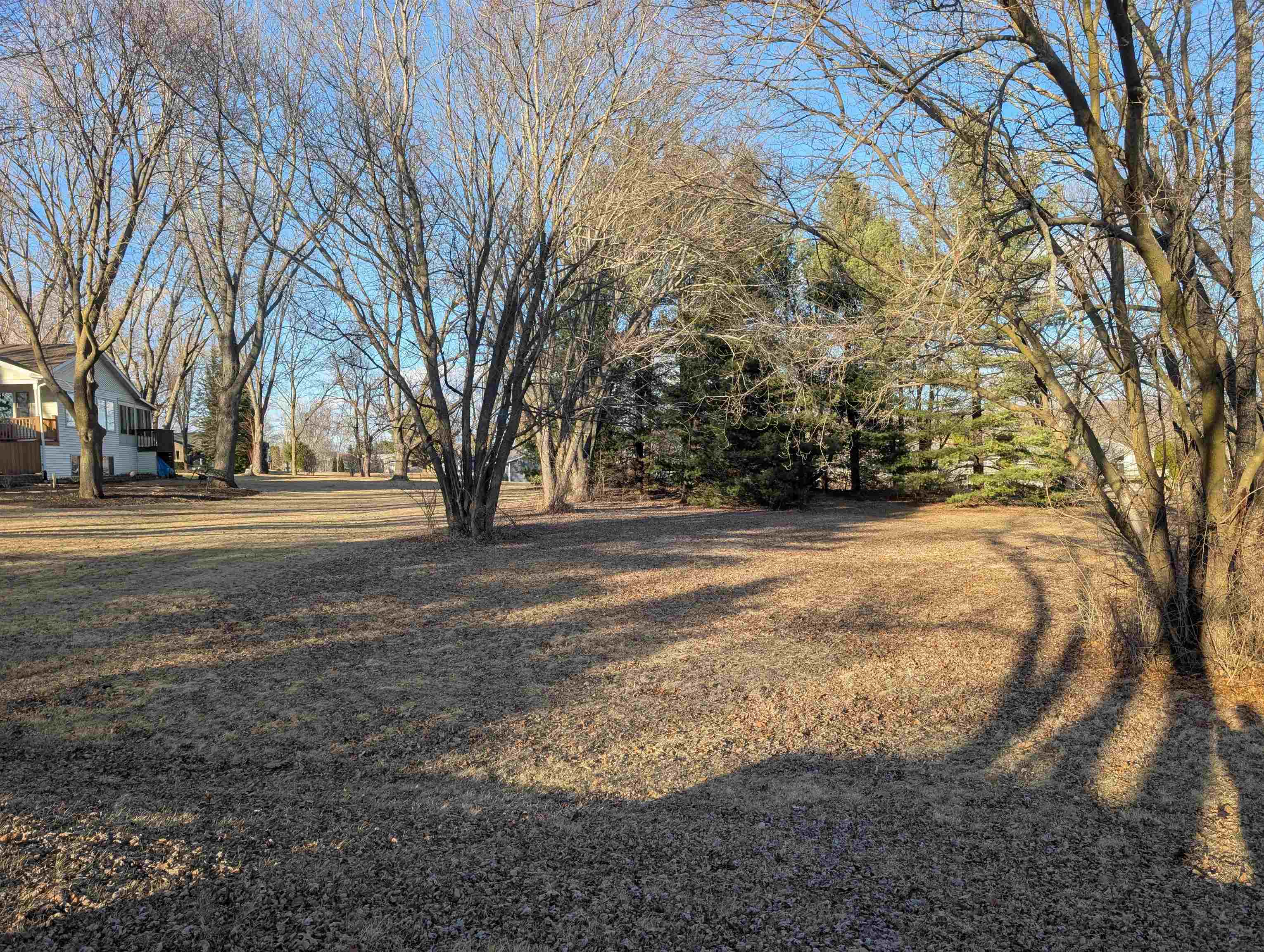 2357 Butternut Bend Lake Summerset, IL 61019 - Photo 3 of 8 a view of dirt yard with a large tree