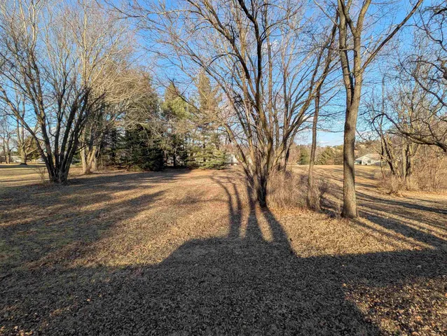 a view of backyard of house with green space