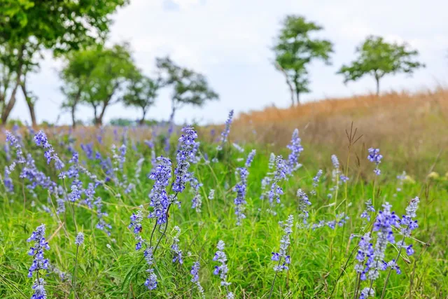 $749,000 | 759 Hagee Drive, Unit 759, Fredericksburg, TX 78624