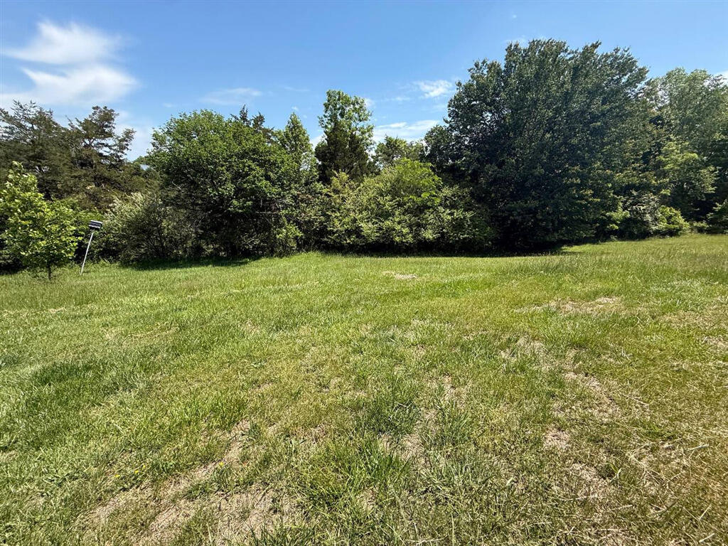 5398 Old Country Road Bedford, VA 24523 - Photo 24 of 25 20260724_202607_S