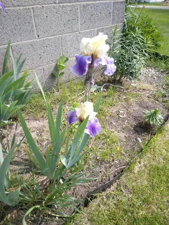 $199,900 | 14 5th Street, Morley, MI 49336