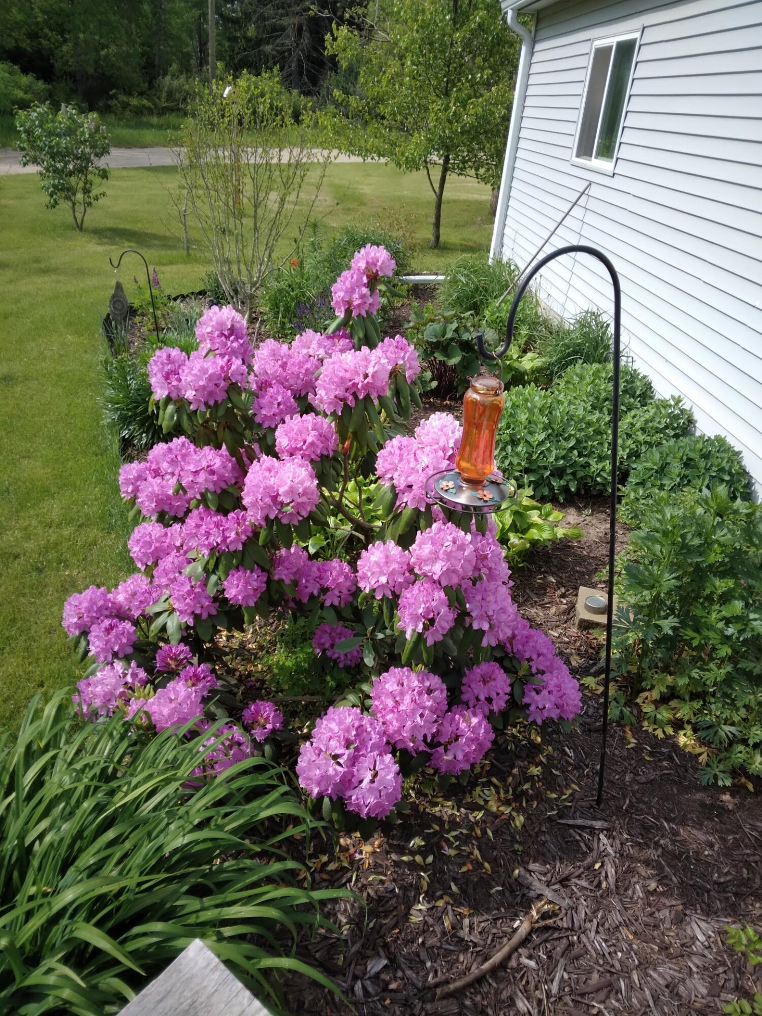 14 5th Street Morley, MI 49336 - Photo 12 of 51 20250606_101220_resized