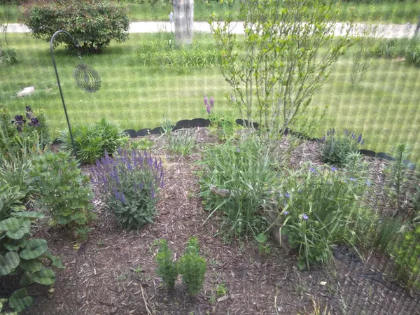 $199,900 | 14 5th Street, Morley, MI 49336