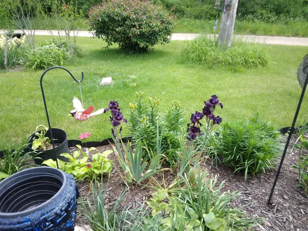 $199,900 | 14 5th Street, Morley, MI 49336