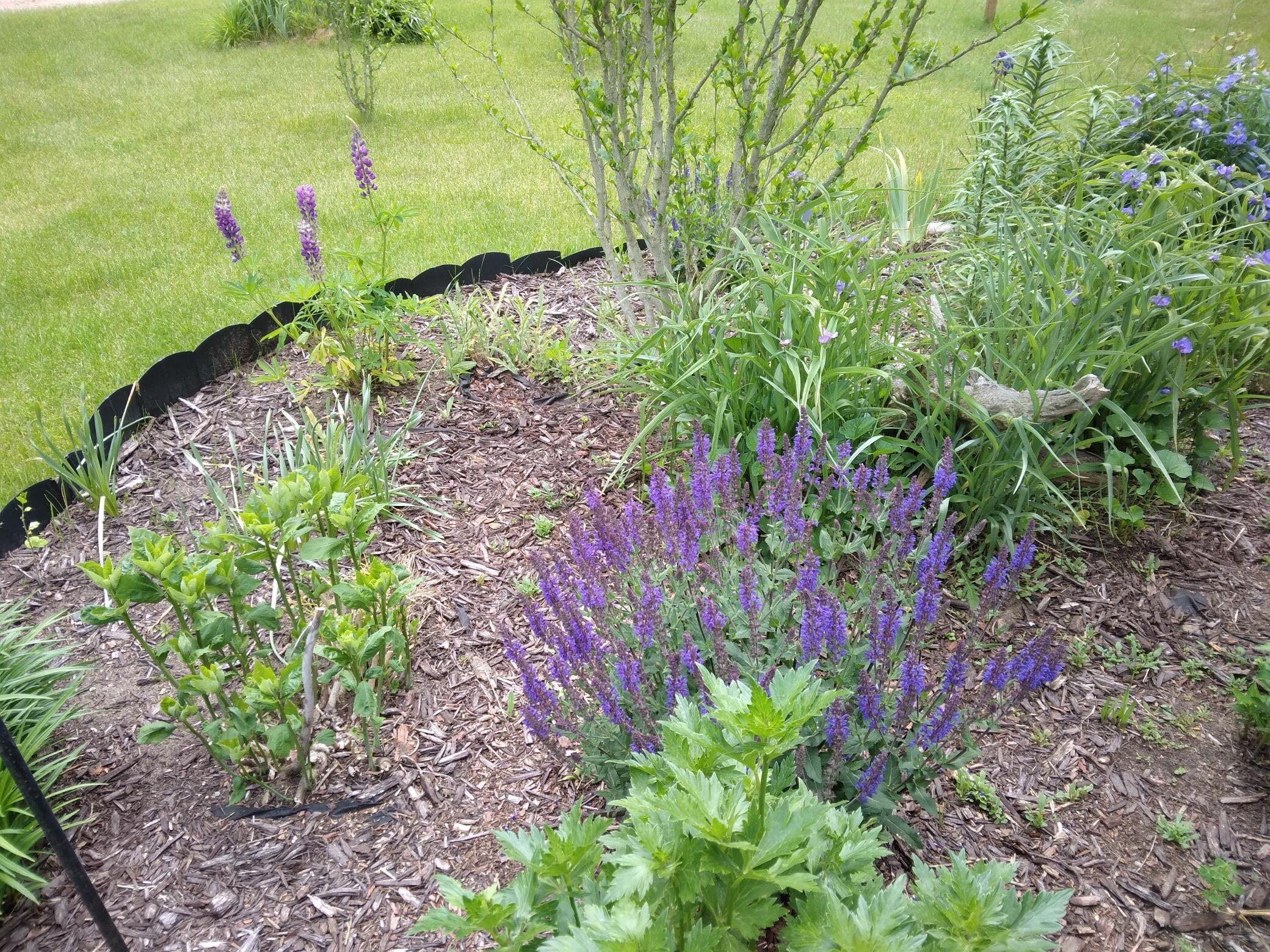 14 5th Street Morley, MI 49336 - Photo 16 of 51 20250612_132148_resized