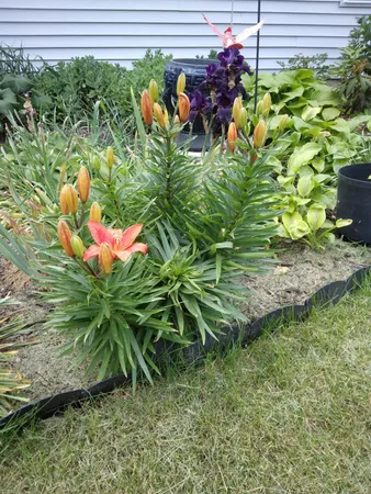 $199,900 | 14 5th Street, Morley, MI 49336