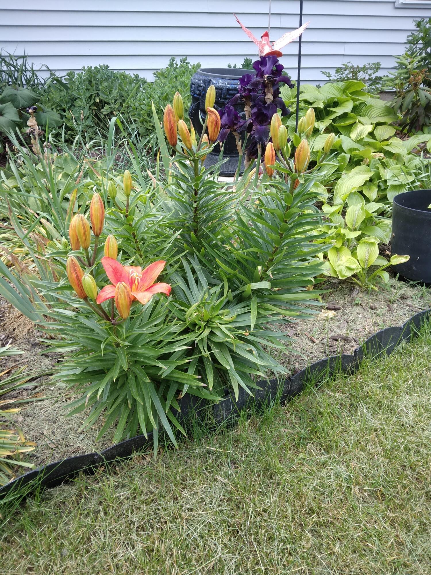 14 5th Street Morley, MI 49336 - Photo 17 of 51 20250616_153849_resized